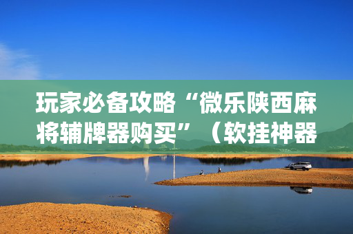 玩家必备攻略“微乐陕西麻将辅牌器购买”（软挂神器)