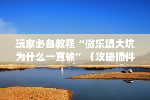 玩家必备教程“微乐填大坑为什么一直输”（攻略插件)