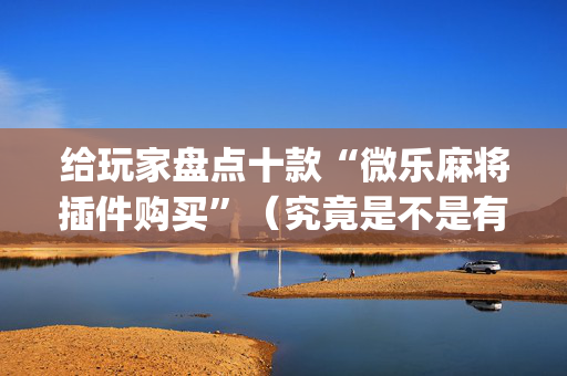 给玩家盘点十款“微乐麻将插件购买”（究竟是不是有挂)