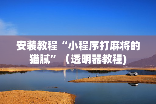 安装教程“小程序打麻将的猫腻”（透明器教程)