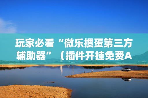 玩家必看“微乐掼蛋第三方辅助器”（插件开挂免费AI)