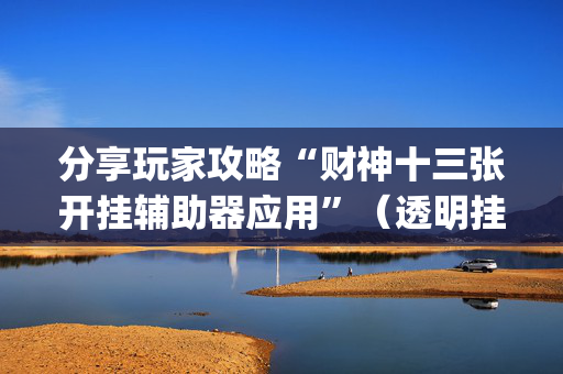 分享玩家攻略“财神十三张开挂辅助器应用”（透明挂辅助器)