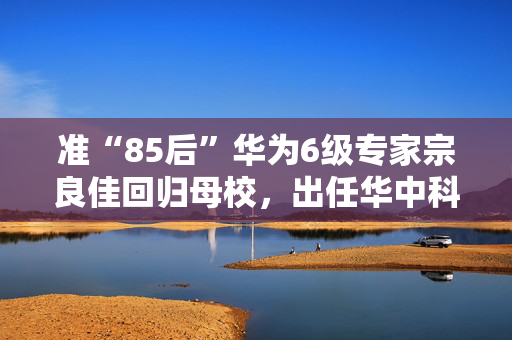 准“85后”华为6级专家宗良佳回归母校，出任华中科大教授
