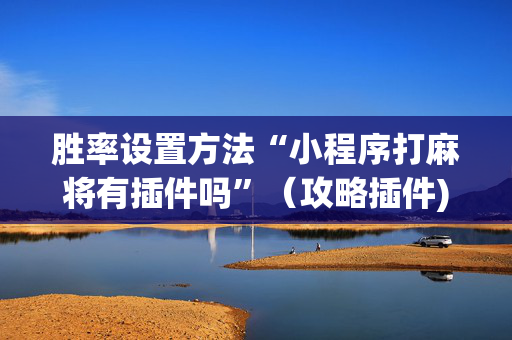 胜率设置方法“小程序打麻将有插件吗”（攻略插件)