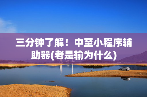 三分钟了解！中至小程序辅助器(老是输为什么)