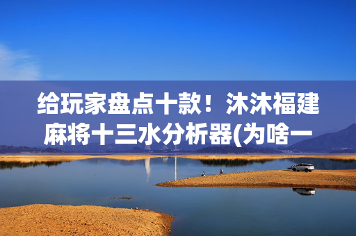 给玩家盘点十款！沐沐福建麻将十三水分析器(为啥一直输)