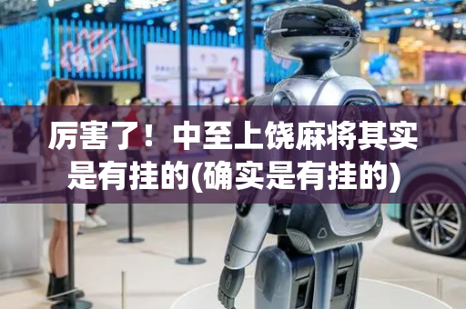 厉害了！中至上饶麻将其实是有挂的(确实是有挂的)