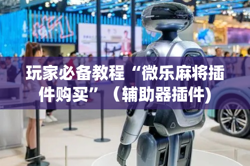 玩家必备教程“微乐麻将插件购买”（辅助器插件)