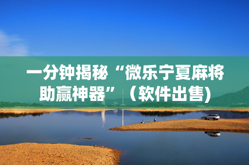 一分钟揭秘“微乐宁夏麻将助赢神器”（软件出售)