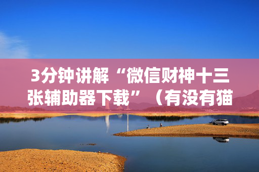 3分钟讲解“微信财神十三张辅助器下载”（有没有猫腻)