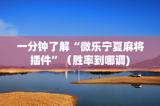 一分钟了解“微乐宁夏麻将插件”（胜率到哪调)