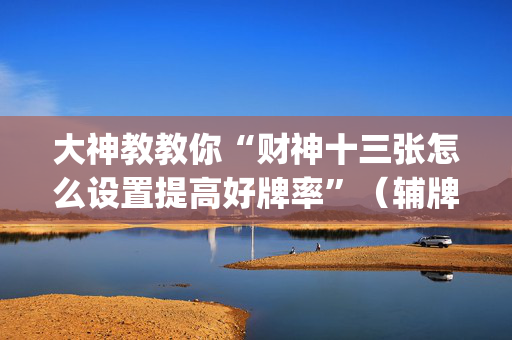 大神教教你“财神十三张怎么设置提高好牌率”（辅牌器插件购买)