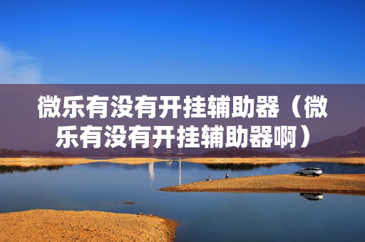 微乐有没有开挂辅助器（微乐有没有开挂辅助器啊）