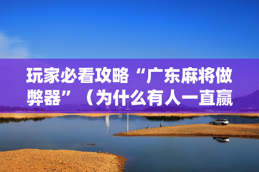 玩家必看攻略“广东麻将做弊器”（为什么有人一直赢)