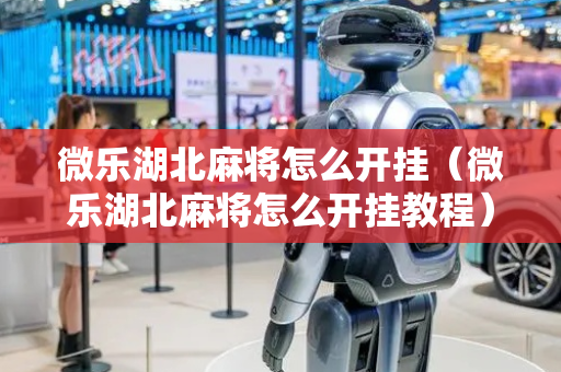 微乐湖北麻将怎么开挂（微乐湖北麻将怎么开挂教程）