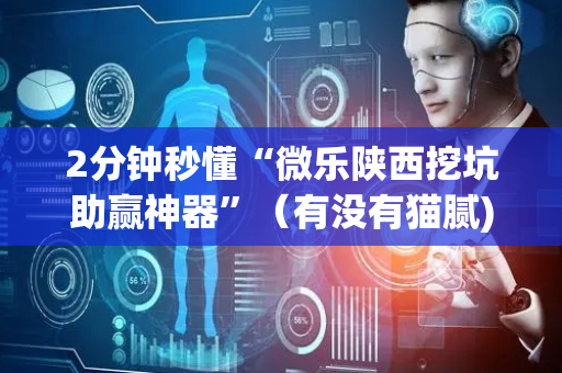 2分钟秒懂“微乐陕西挖坑助赢神器”（有没有猫腻)