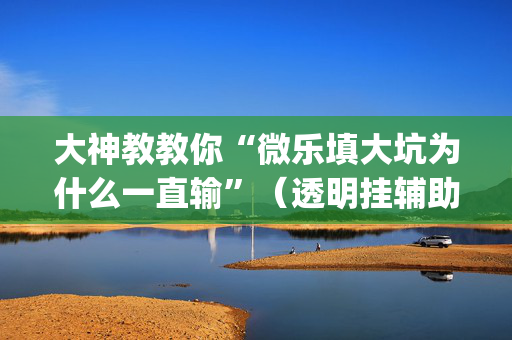 大神教教你“微乐填大坑为什么一直输”（透明挂辅助器)