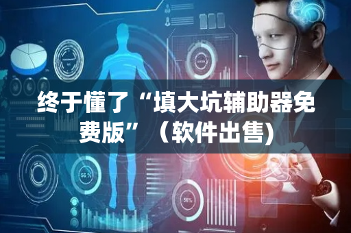 终于懂了“填大坑辅助器免费版”（软件出售)