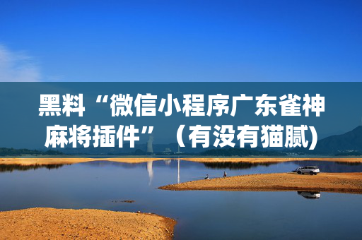 黑料“微信小程序广东雀神麻将插件”（有没有猫腻)