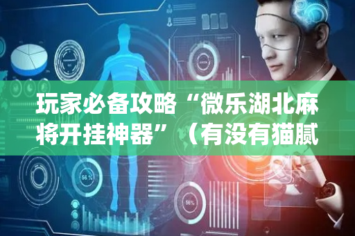 玩家必备攻略“微乐湖北麻将开挂神器”（有没有猫腻)