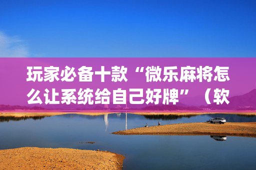 玩家必备十款“微乐麻将怎么让系统给自己好牌”（软挂神器)