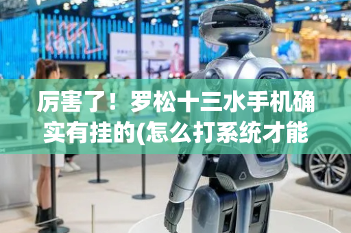 厉害了！罗松十三水手机确实有挂的(怎么打系统才能给好牌)