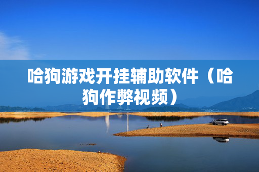 哈狗游戏开挂辅助软件（哈狗作弊视频）