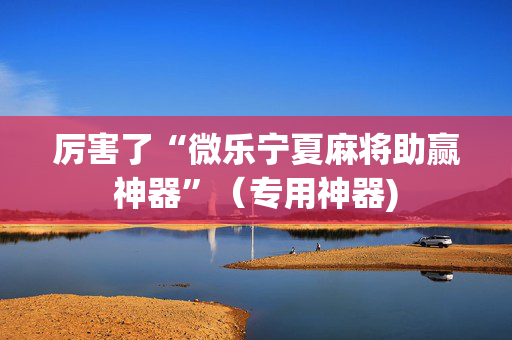 厉害了“微乐宁夏麻将助赢神器”（专用神器)