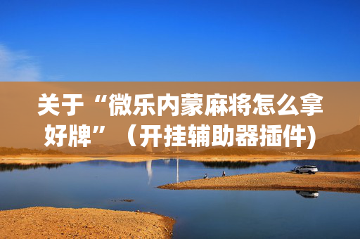 关于“微乐内蒙麻将怎么拿好牌”（开挂辅助器插件)