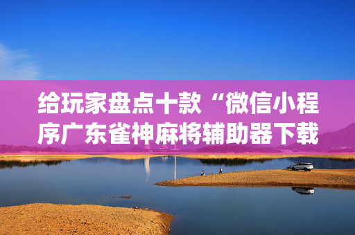 给玩家盘点十款“微信小程序广东雀神麻将辅助器下载”（辅助器插件)