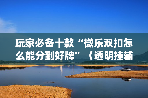 玩家必备十款“微乐双扣怎么能分到好牌”（透明挂辅助器)