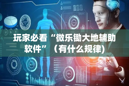 玩家必看“微乐锄大地辅助软件”（有什么规律)
