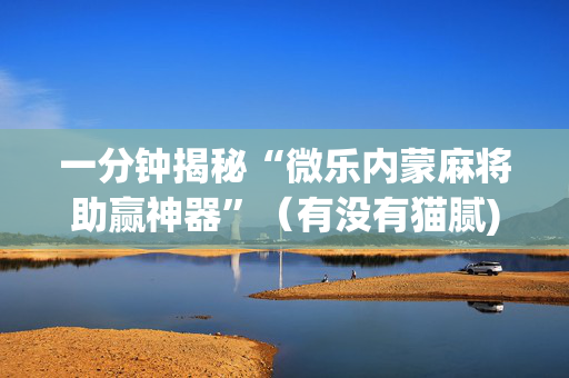 一分钟揭秘“微乐内蒙麻将助赢神器”（有没有猫腻)