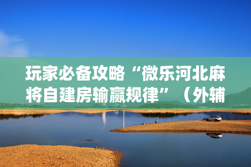 玩家必备攻略“微乐河北麻将自建房输赢规律”（外辅工具)