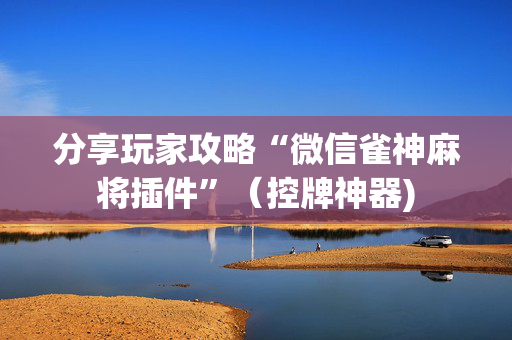 分享玩家攻略“微信雀神麻将插件”（控牌神器)