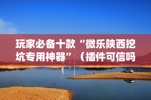 玩家必备十款“微乐陕西挖坑专用神器”（插件可信吗)