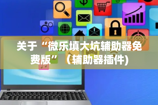 关于“微乐填大坑辅助器免费版”（辅助器插件)