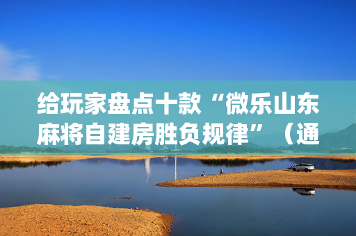 给玩家盘点十款“微乐山东麻将自建房胜负规律”（通用挂软件多少钱)