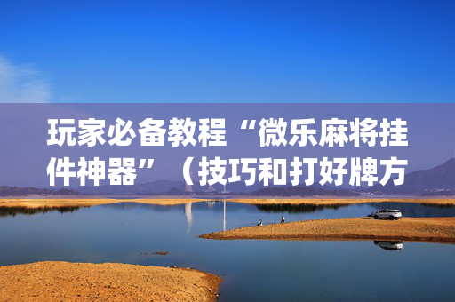 玩家必备教程“微乐麻将挂件神器”（技巧和打好牌方法)