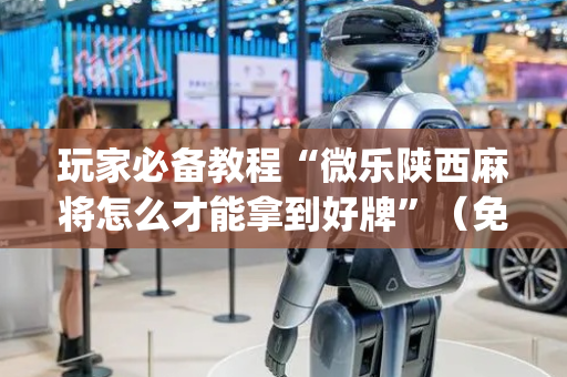 玩家必备教程“微乐陕西麻将怎么才能拿到好牌”（免费专用神器)