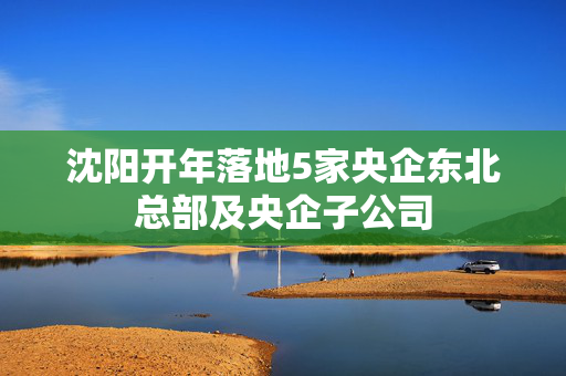 沈阳开年落地5家央企东北总部及央企子公司