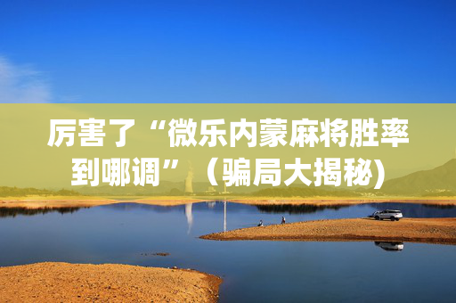厉害了“微乐内蒙麻将胜率到哪调”（骗局大揭秘)