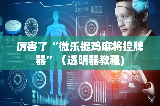 厉害了“微乐捉鸡麻将控牌器”（透明器教程)