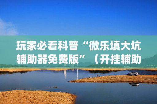 玩家必看科普“微乐填大坑辅助器免费版”（开挂辅助脚本)