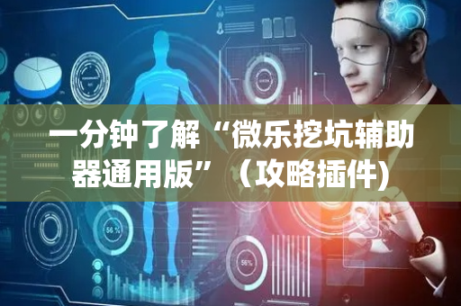 一分钟了解“微乐挖坑辅助器通用版”（攻略插件)