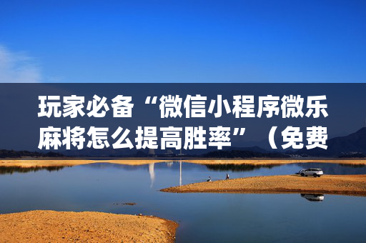 玩家必备“微信小程序微乐麻将怎么提高胜率”（免费专用神器)