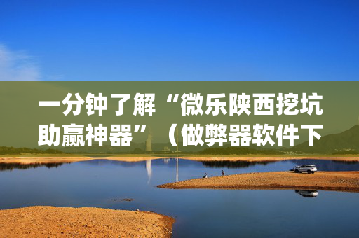 一分钟了解“微乐陕西挖坑助赢神器”（做弊器软件下载)