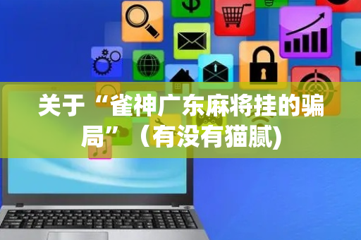 关于“雀神广东麻将挂的骗局”（有没有猫腻)