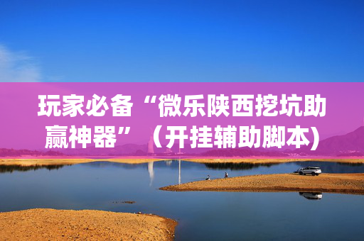 玩家必备“微乐陕西挖坑助赢神器”（开挂辅助脚本)