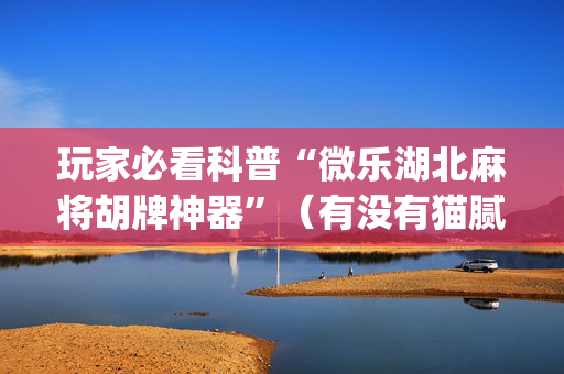 玩家必看科普“微乐湖北麻将胡牌神器”（有没有猫腻)